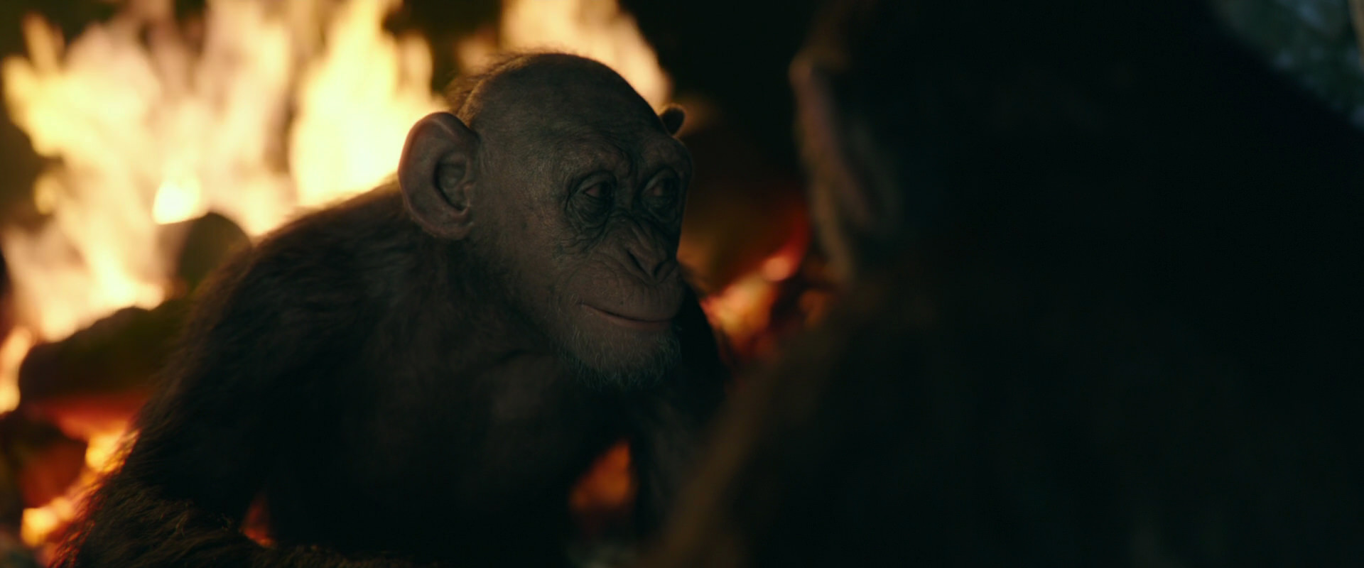 War for the Planet of the Apes (2017) movie still 5605