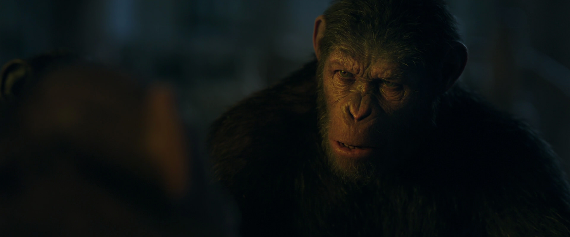 War for the Planet of the Apes (2017) HD screenshot 5606