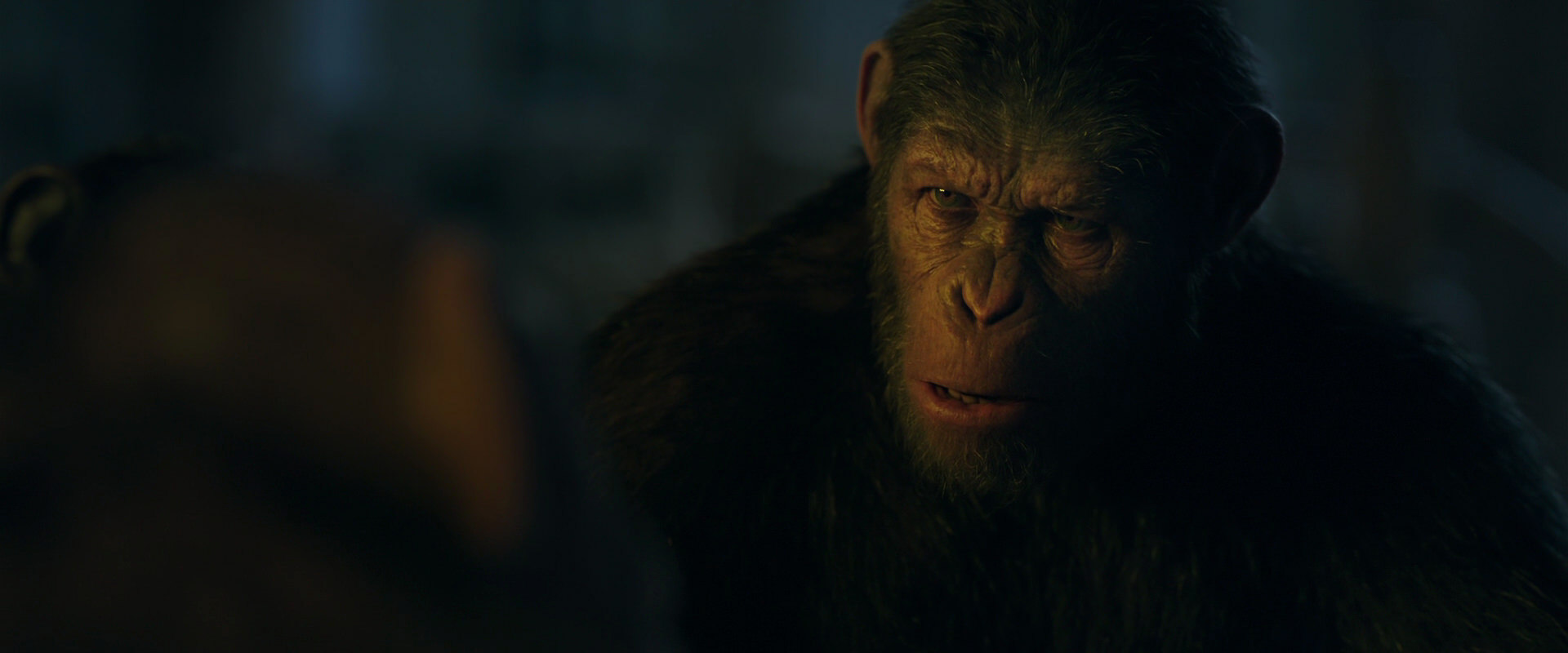 War for the Planet of the Apes (2017) screencap 5607