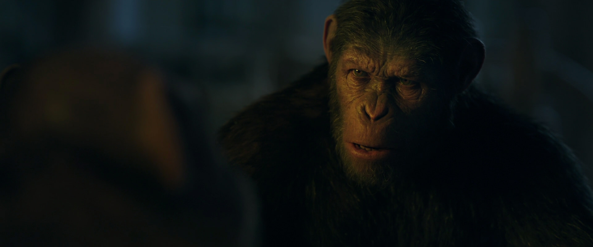 War for the Planet of the Apes (2017) movie still 5608