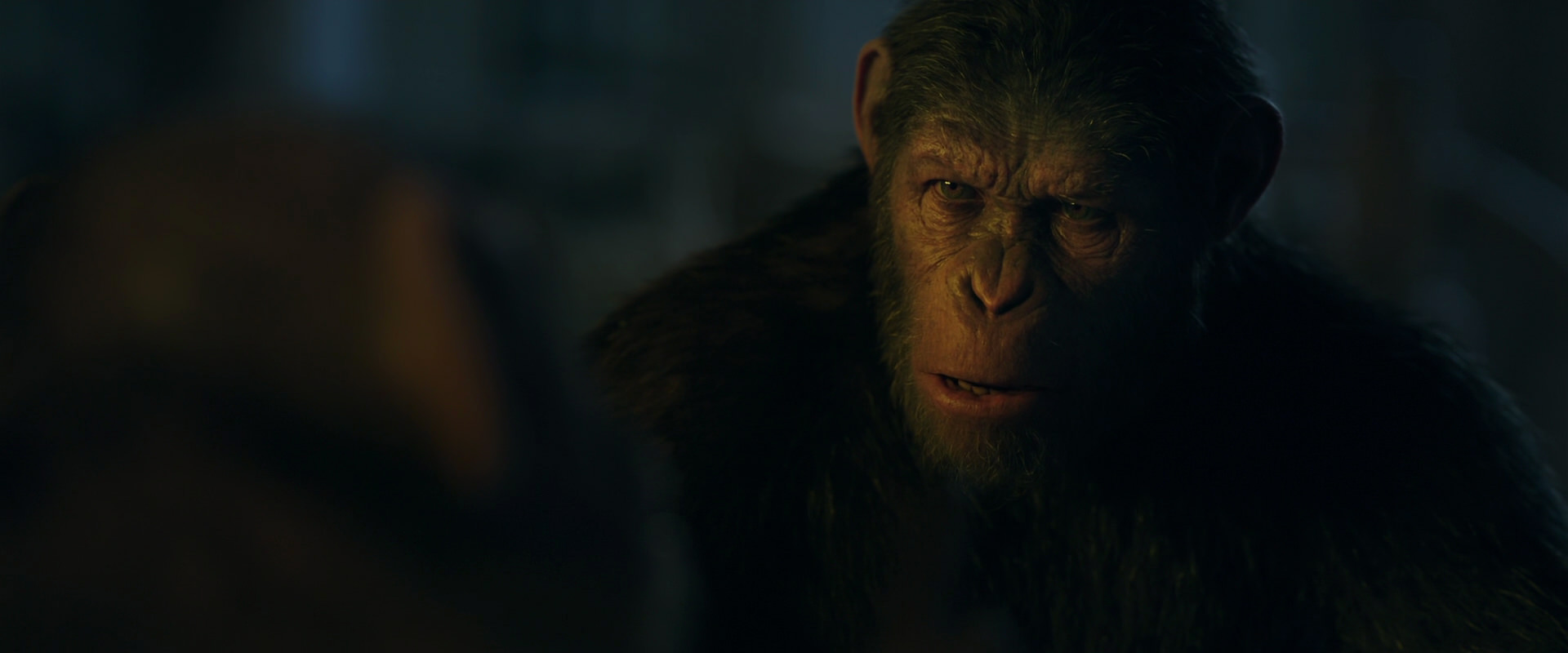 War for the Planet of the Apes (2017) HD screenshot 5609