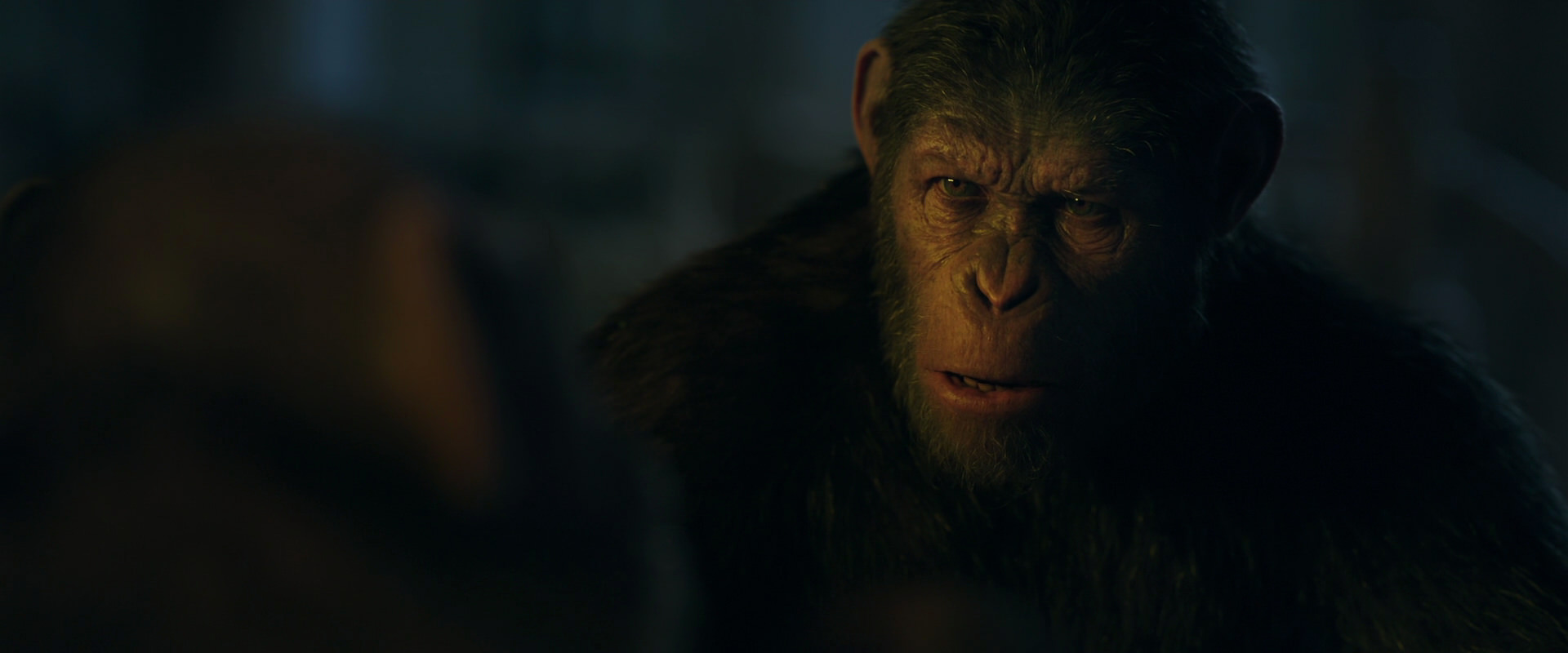 War for the Planet of the Apes (2017) screencap 5610