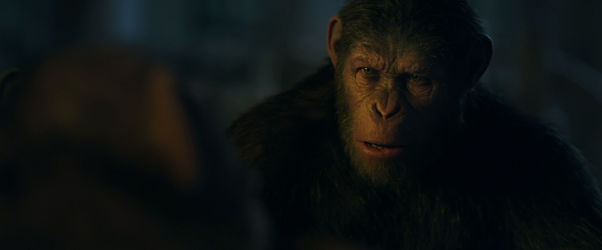War for the Planet of the Apes (2017) movie still 5611