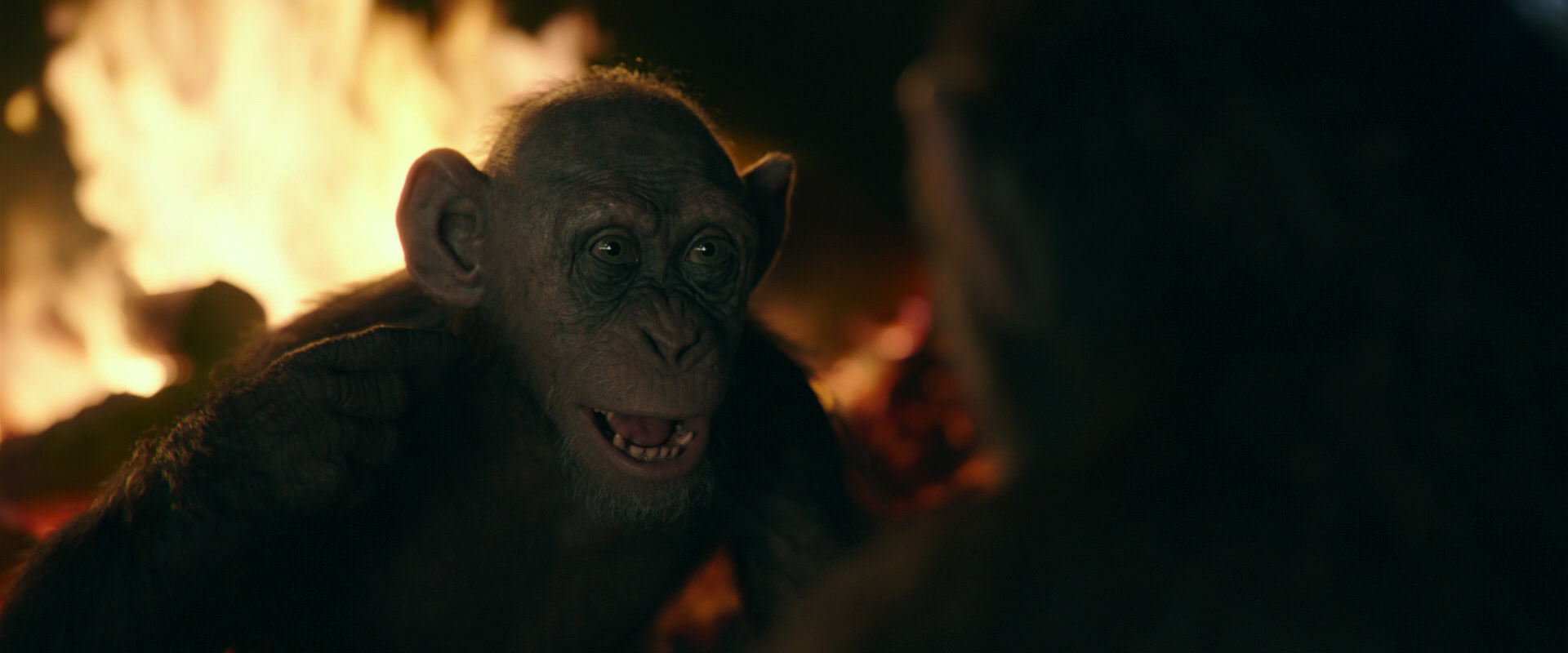 War for the Planet of the Apes (2017) HD screenshot 5612