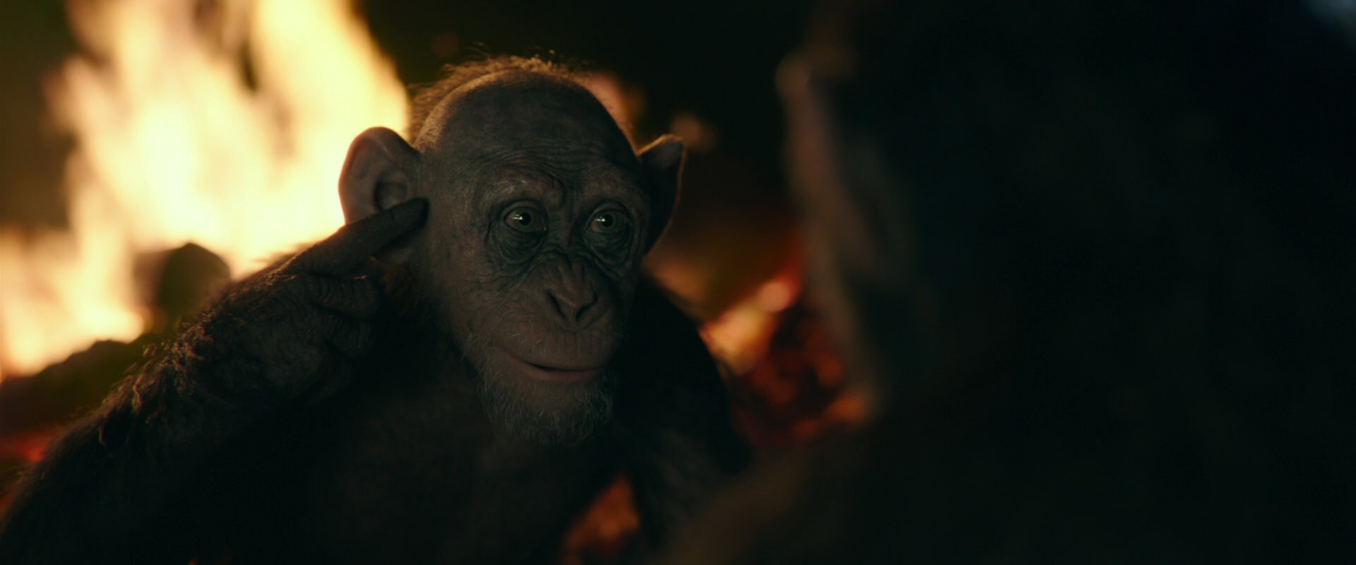 War for the Planet of the Apes (2017) screencap 5613