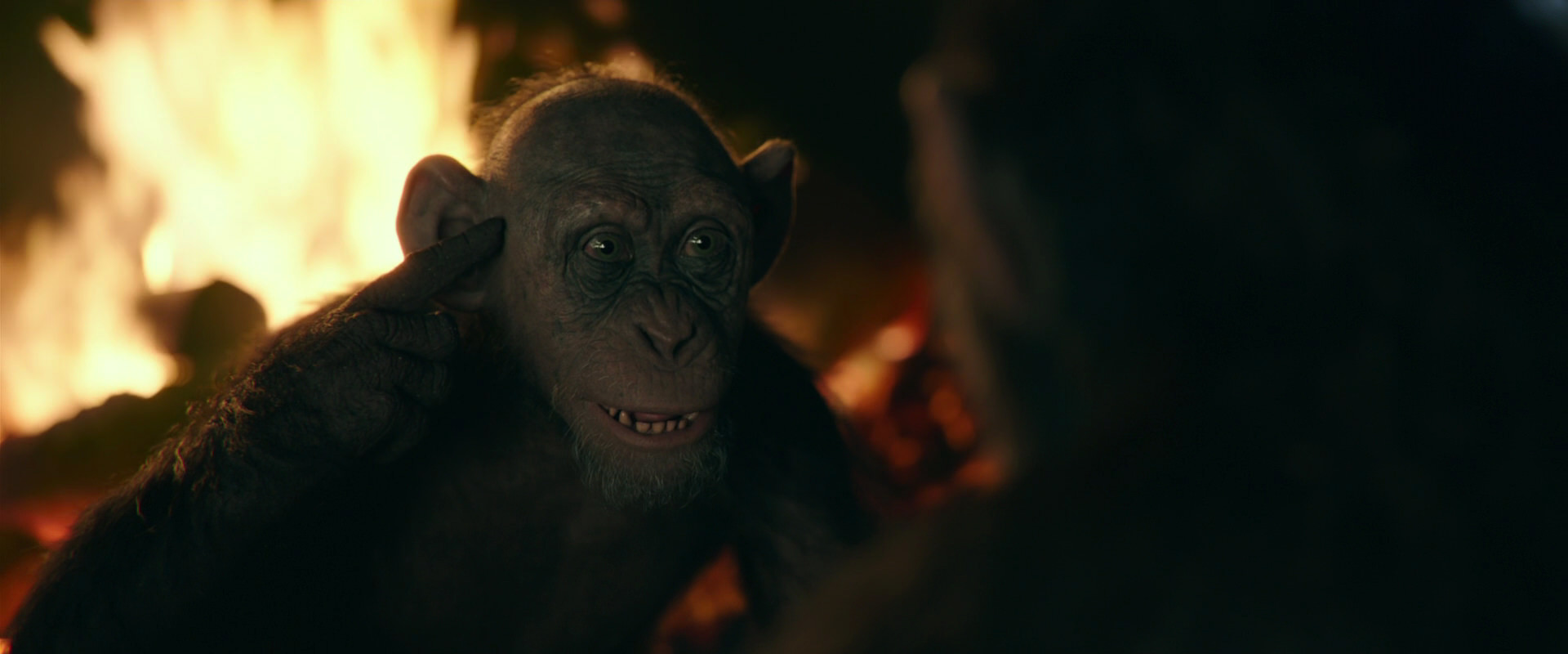War for the Planet of the Apes (2017) movie still 5614