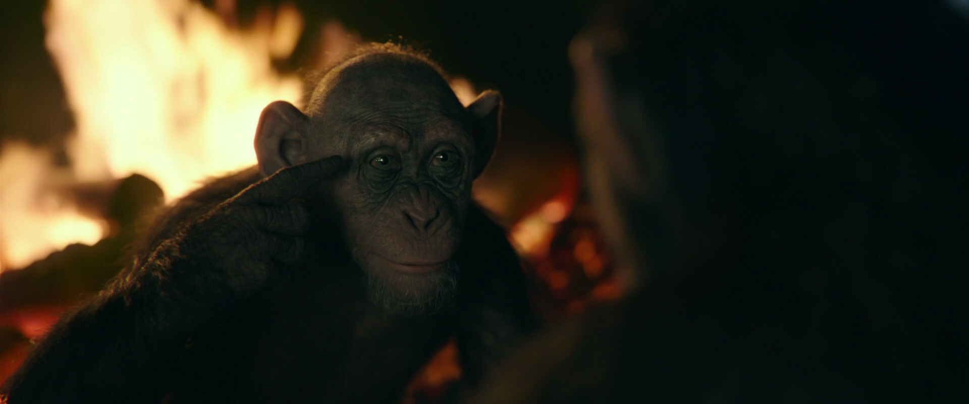 War for the Planet of the Apes (2017) screencap 5616