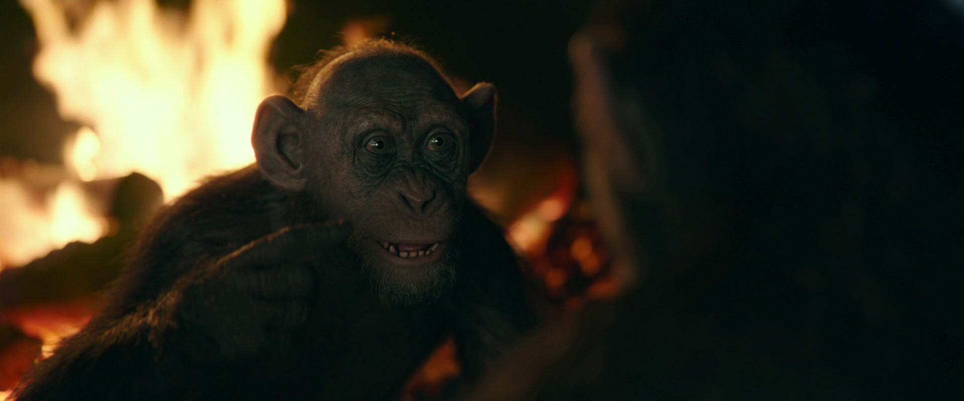 War for the Planet of the Apes (2017) movie still 5617