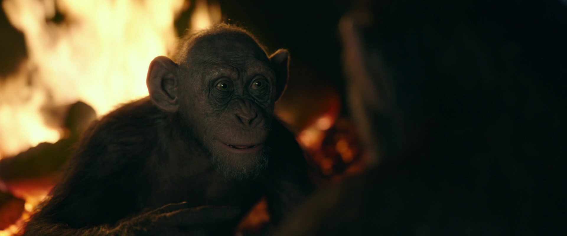 War for the Planet of the Apes (2017) screencap 5619