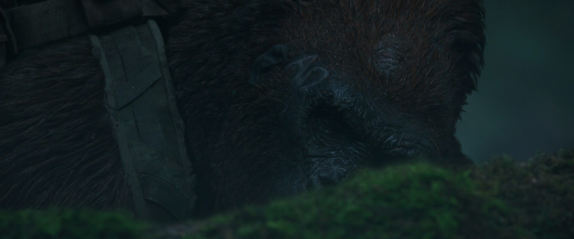 War for the Planet of the Apes (2017) movie still 562