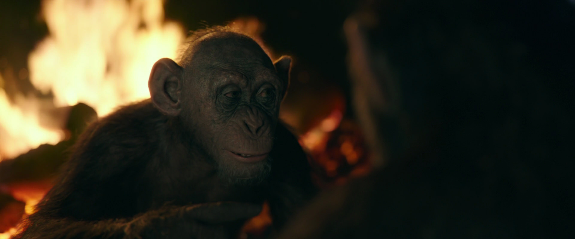 War for the Planet of the Apes (2017) movie still 5620