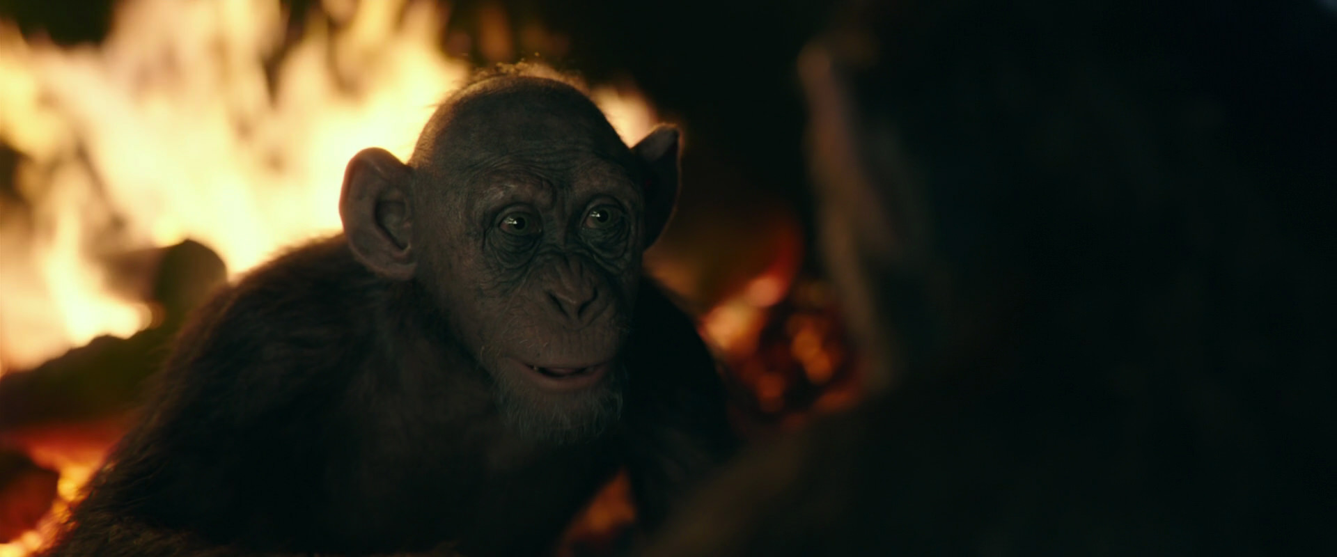 War for the Planet of the Apes (2017) screencap 5622