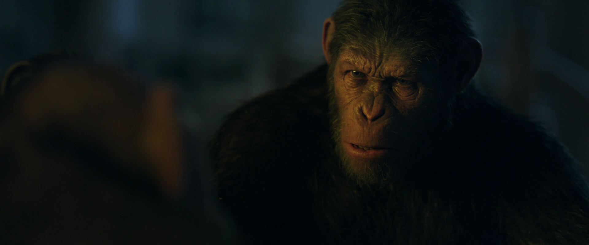 War for the Planet of the Apes (2017) movie still 5623