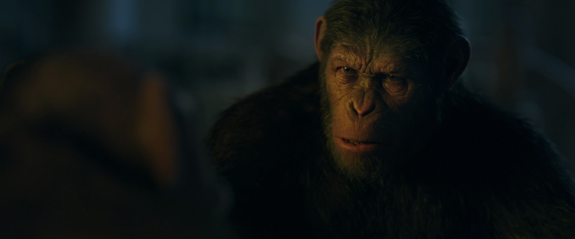 War for the Planet of the Apes (2017) HD screenshot 5624