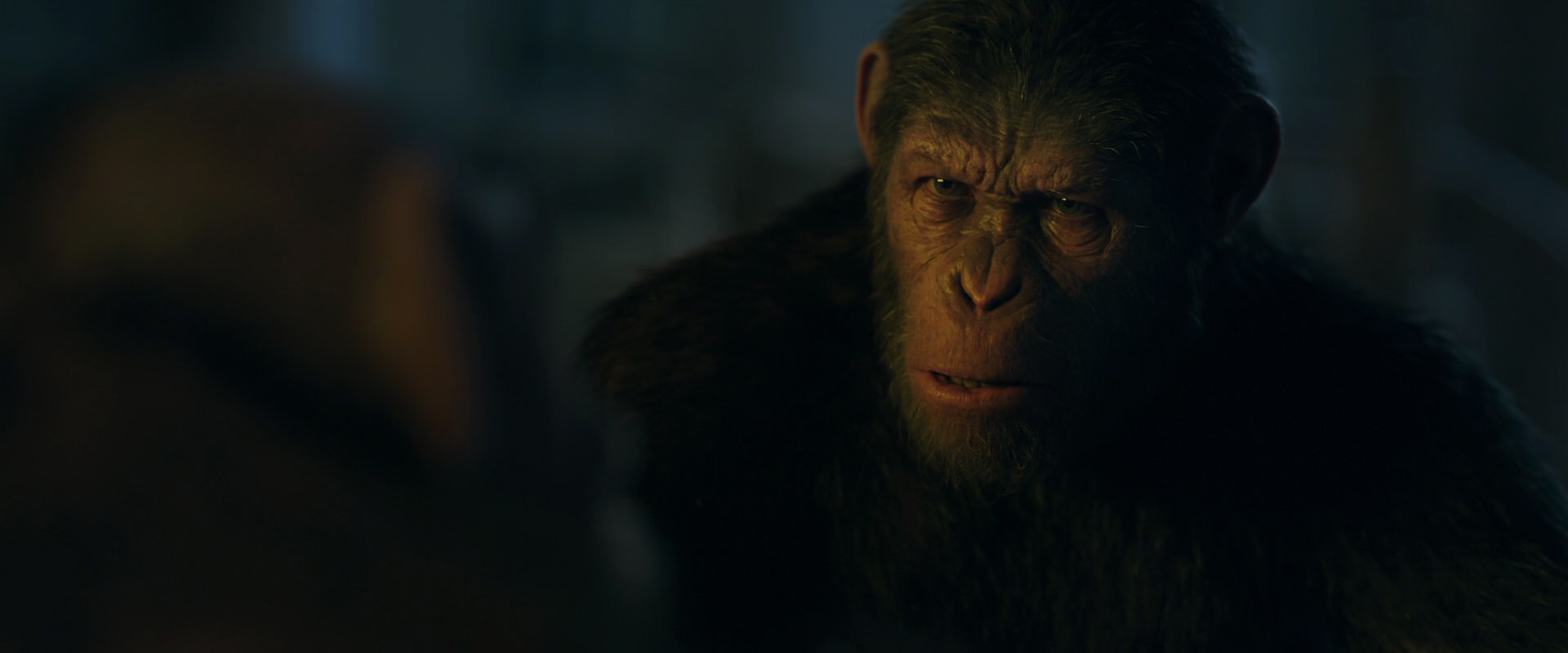 War for the Planet of the Apes (2017) screencap 5625