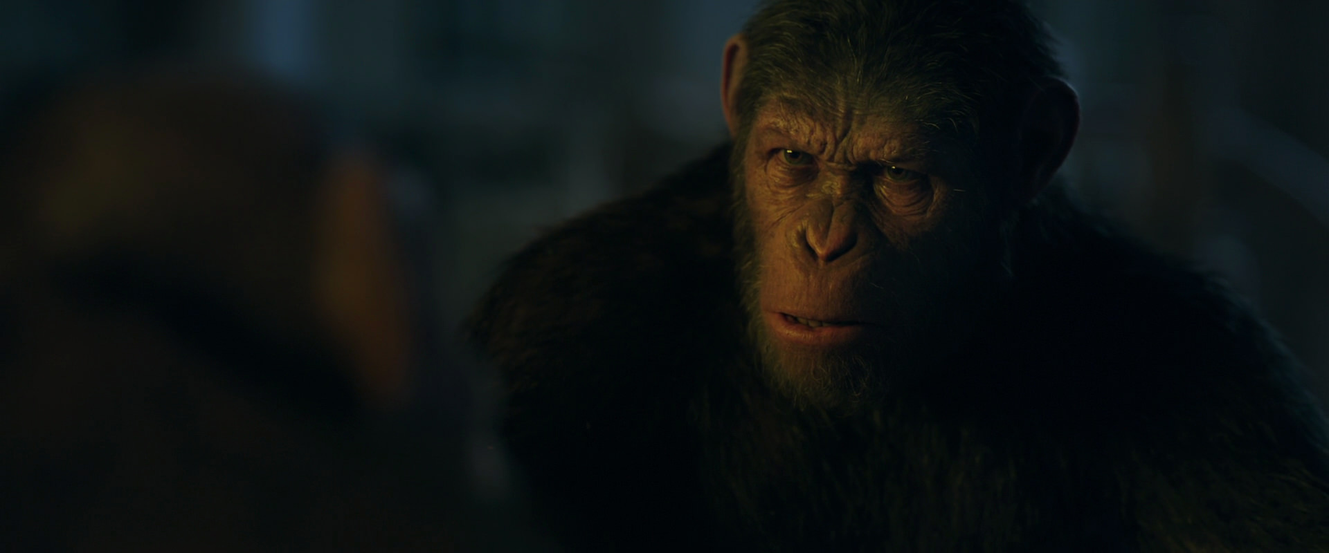 War for the Planet of the Apes (2017) movie still 5626