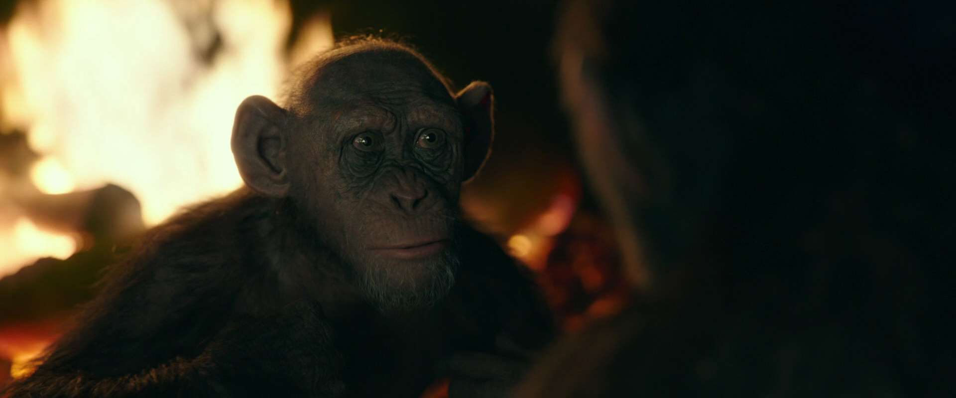 War for the Planet of the Apes (2017) screencap 5628