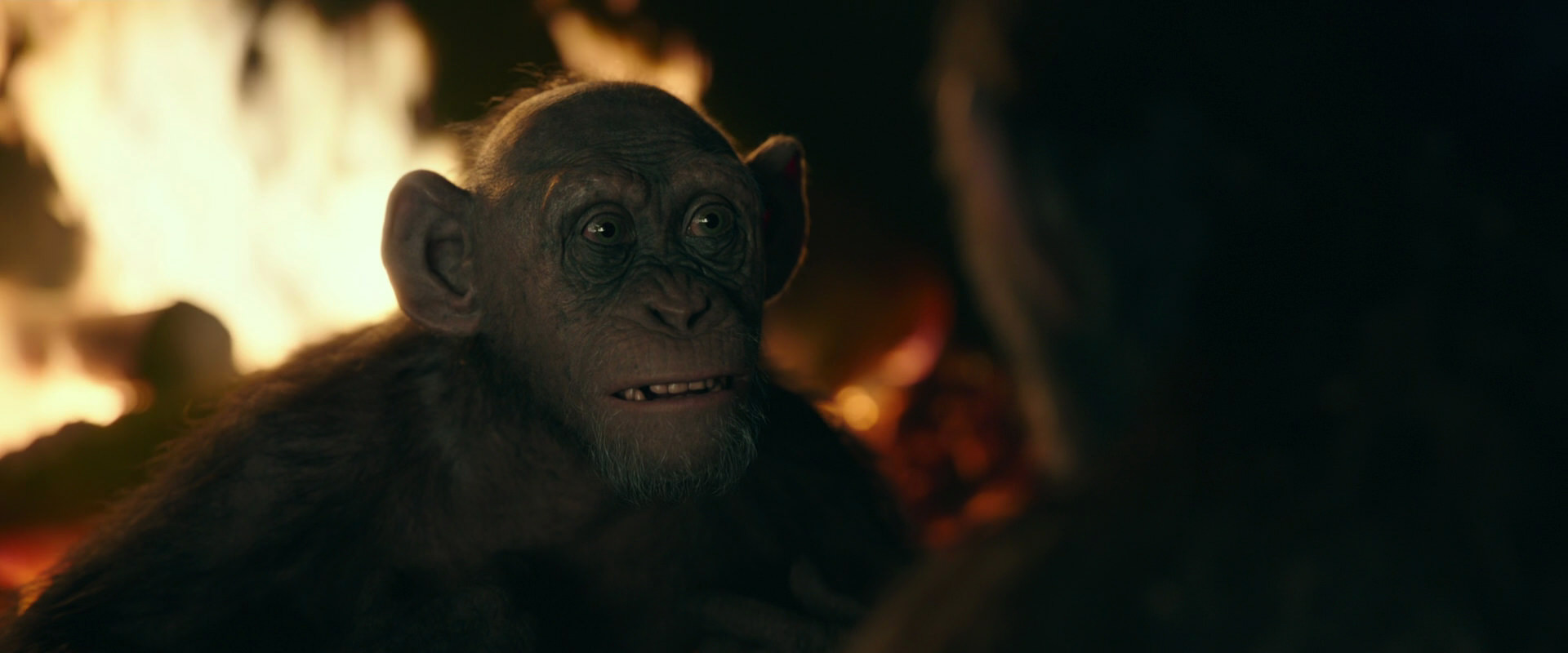 War for the Planet of the Apes (2017) movie still 5629