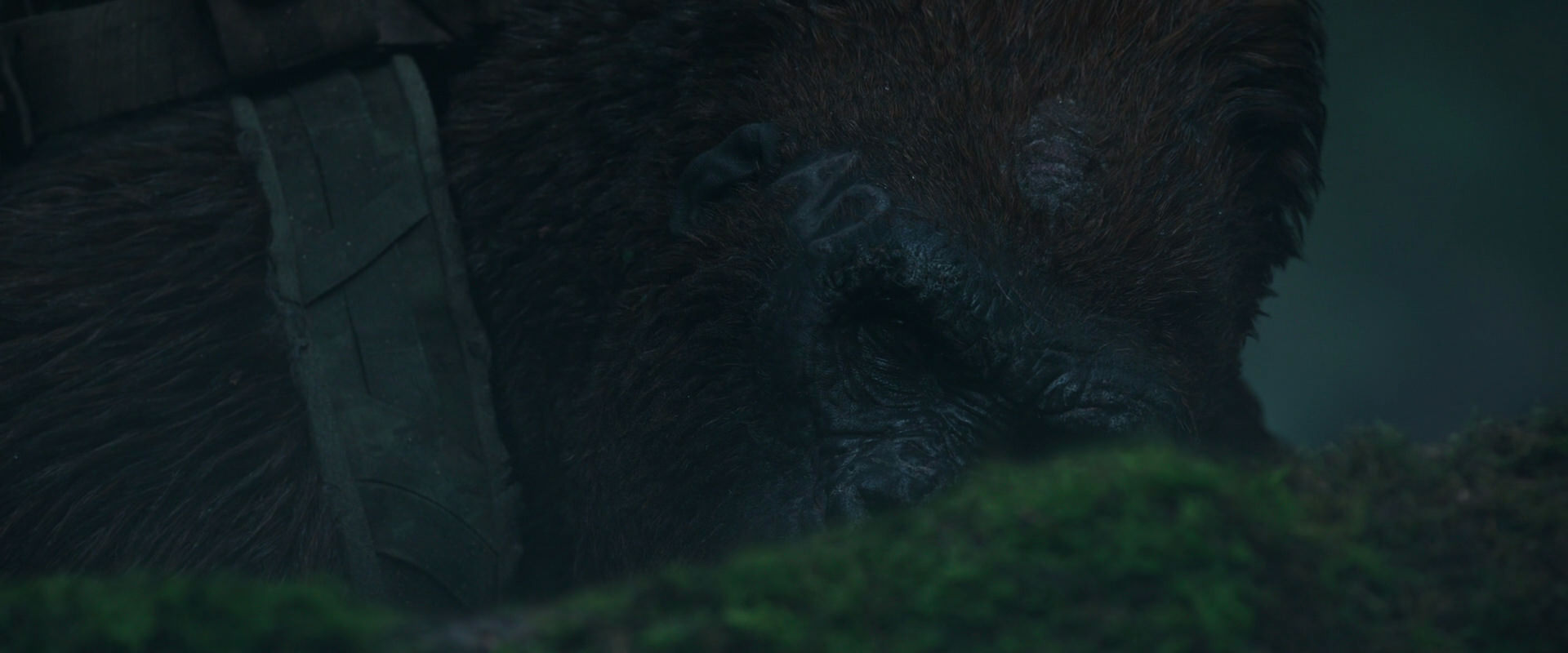 War for the Planet of the Apes (2017) HD screenshot 563