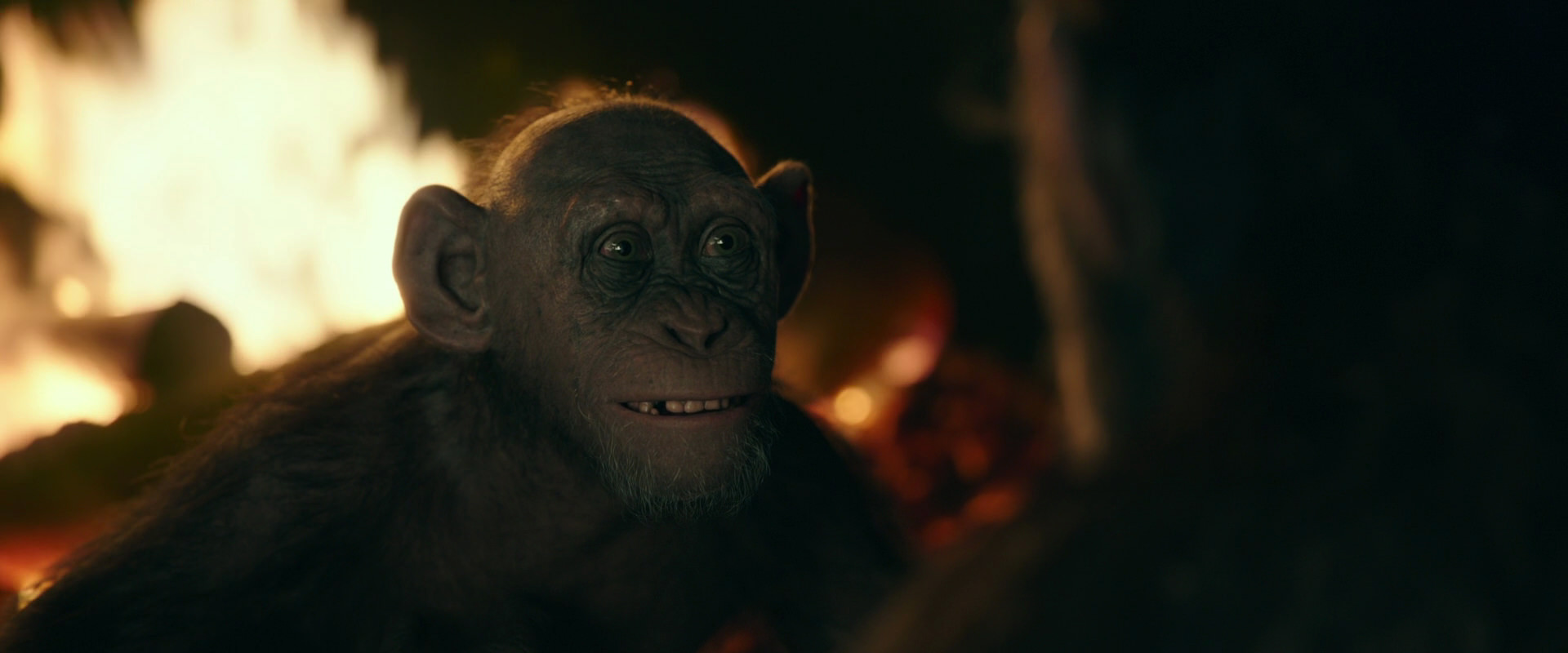 War for the Planet of the Apes (2017) screencap 5631