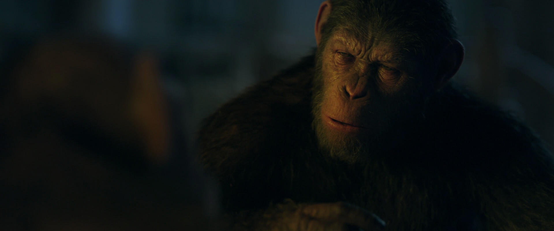 War for the Planet of the Apes (2017) movie still 5632