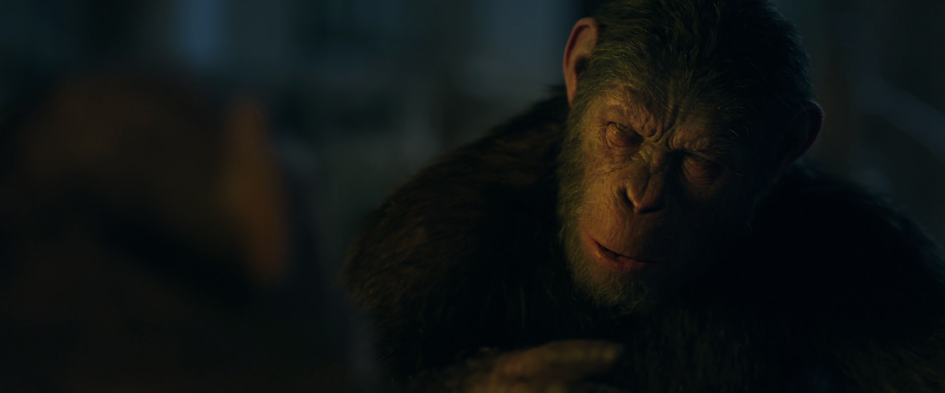 War for the Planet of the Apes (2017) screencap 5634