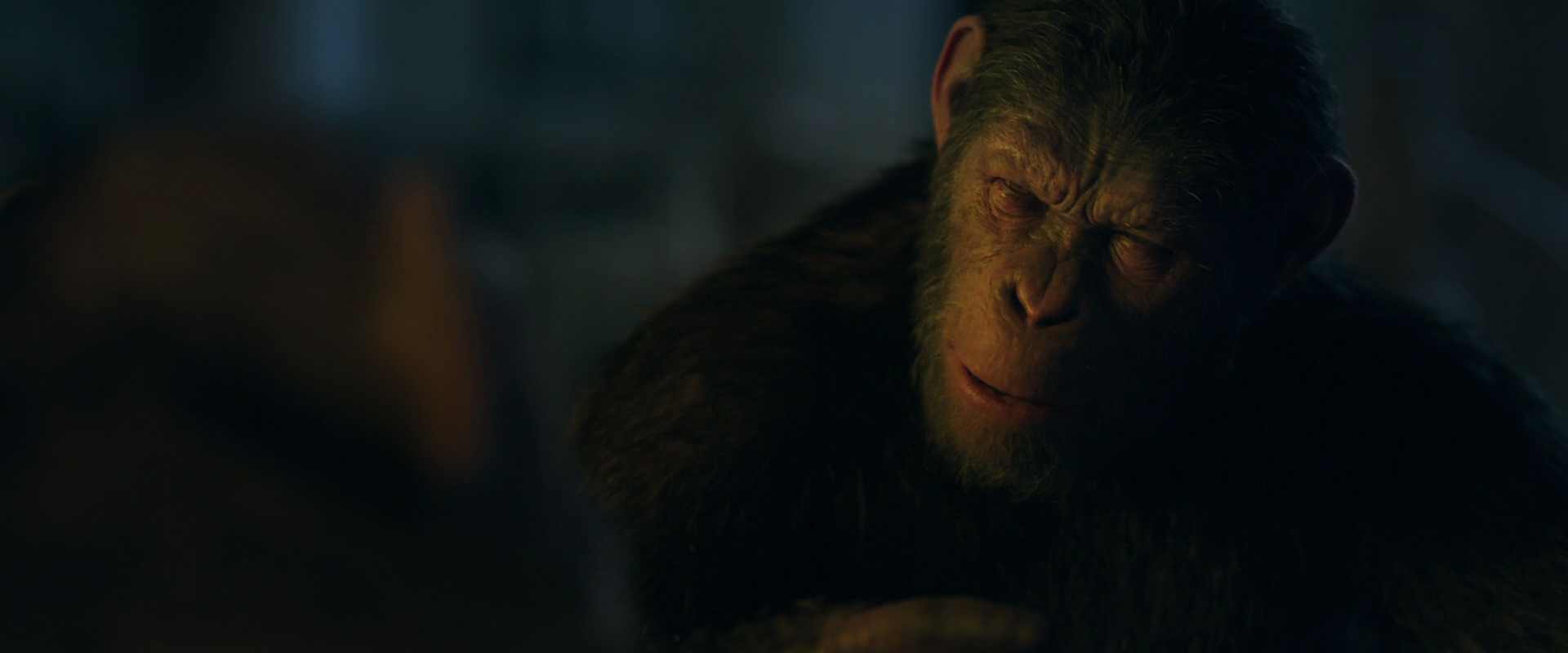 War for the Planet of the Apes (2017) movie still 5635