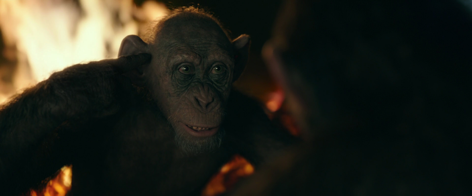 War for the Planet of the Apes (2017) screencap 5637