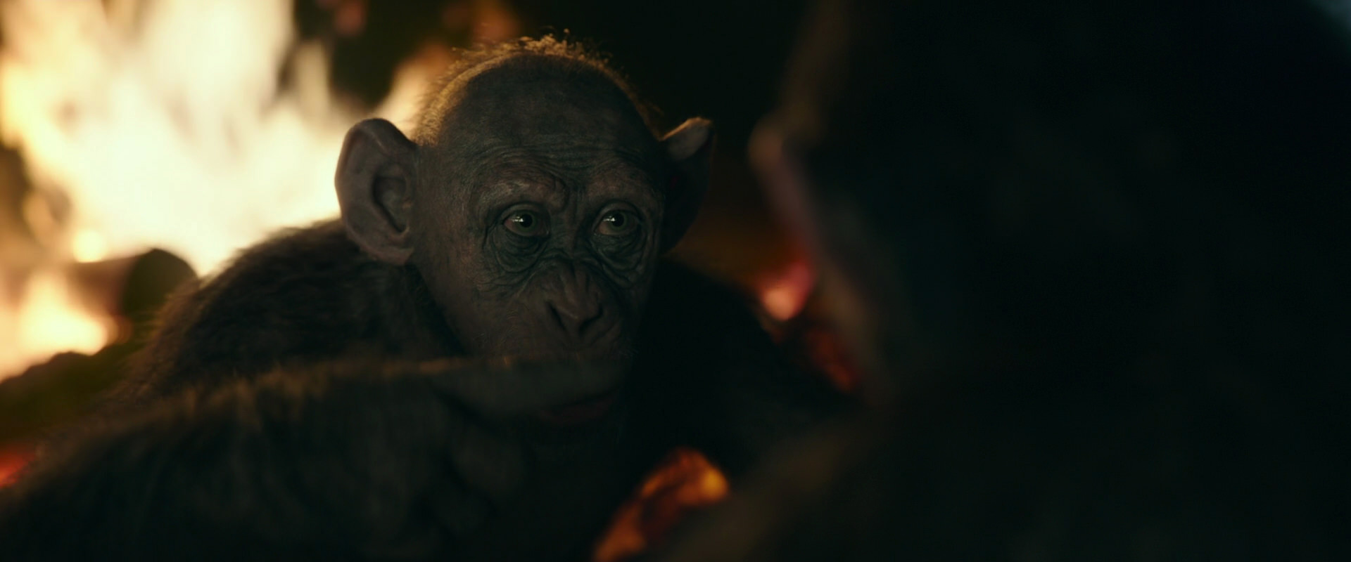 War for the Planet of the Apes (2017) movie still 5638
