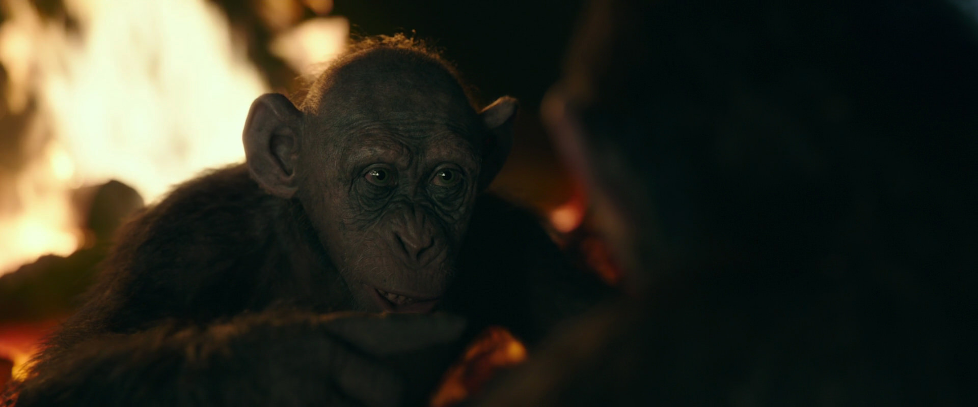 War for the Planet of the Apes (2017) HD screenshot 5639