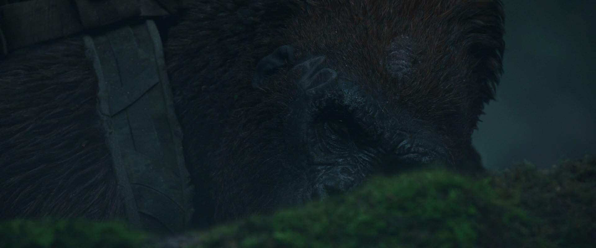 War for the Planet of the Apes (2017) screencap 564