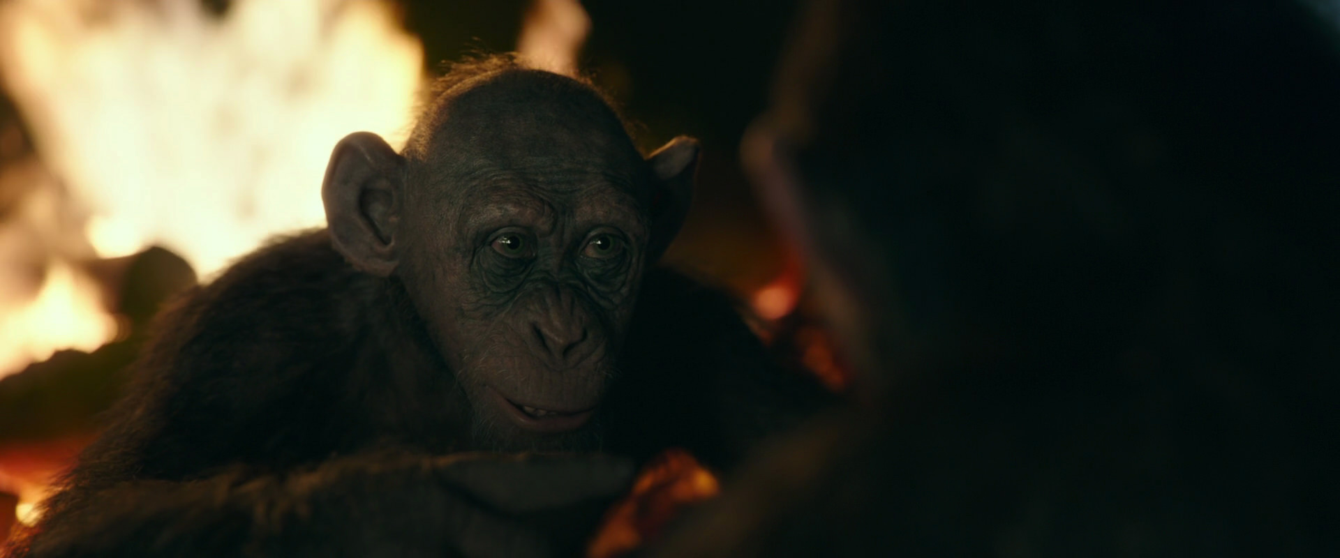 War for the Planet of the Apes (2017) screencap 5640