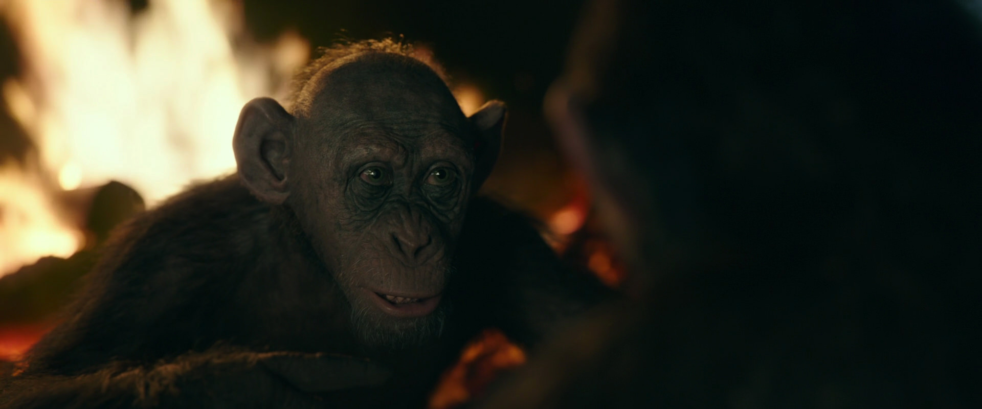 War for the Planet of the Apes (2017) movie still 5641