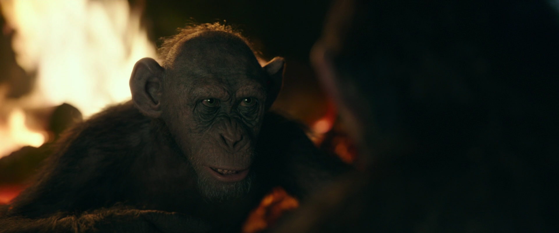 War for the Planet of the Apes (2017) HD screenshot 5642