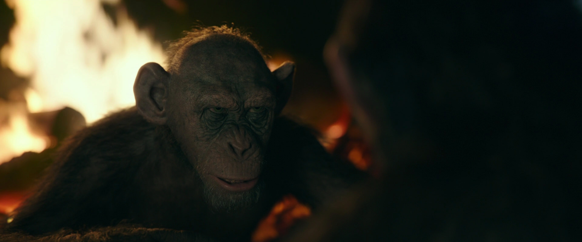 War for the Planet of the Apes (2017) screencap 5643