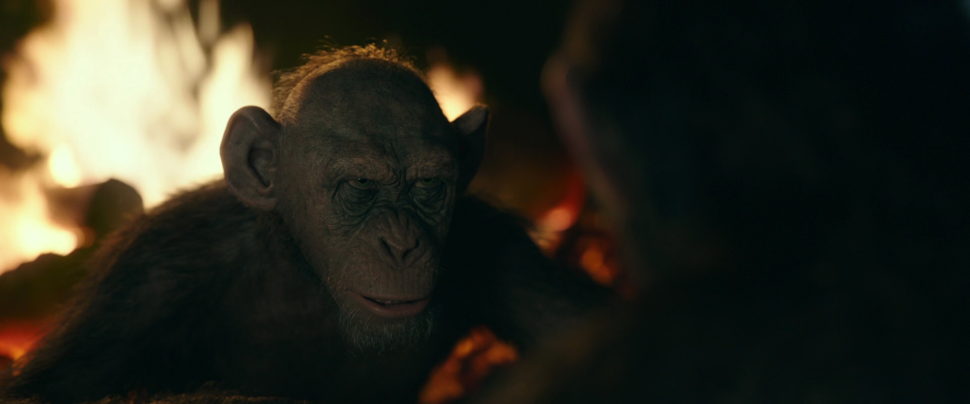 War for the Planet of the Apes (2017) movie still 5644