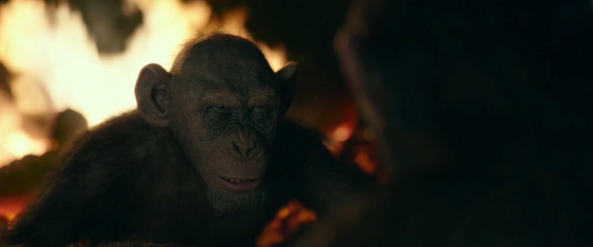 War for the Planet of the Apes (2017) HD screenshot 5645