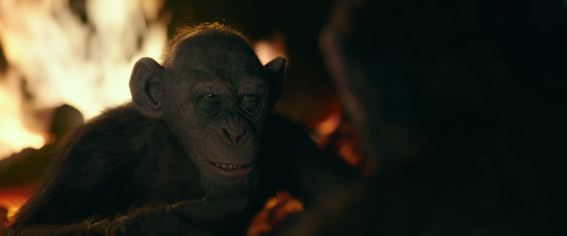 War for the Planet of the Apes (2017) screencap 5646