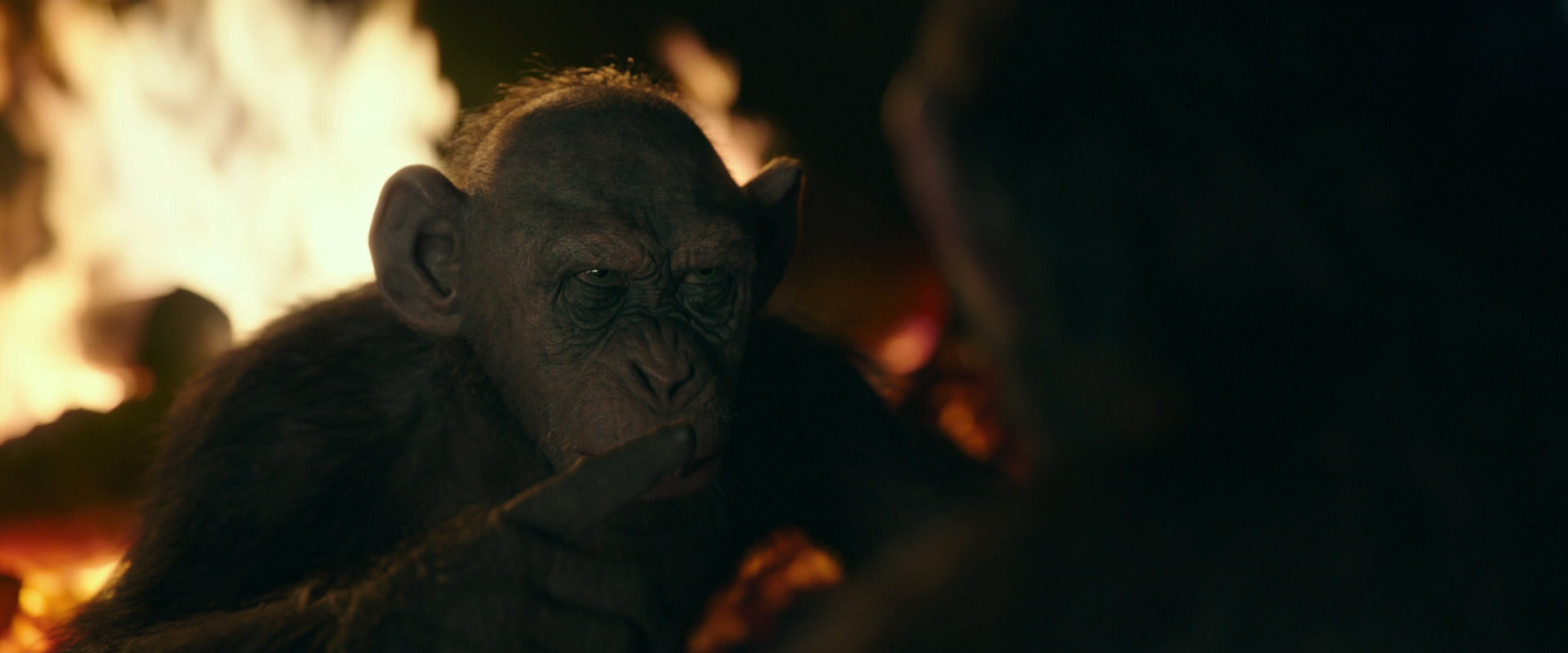 War for the Planet of the Apes (2017) movie still 5647