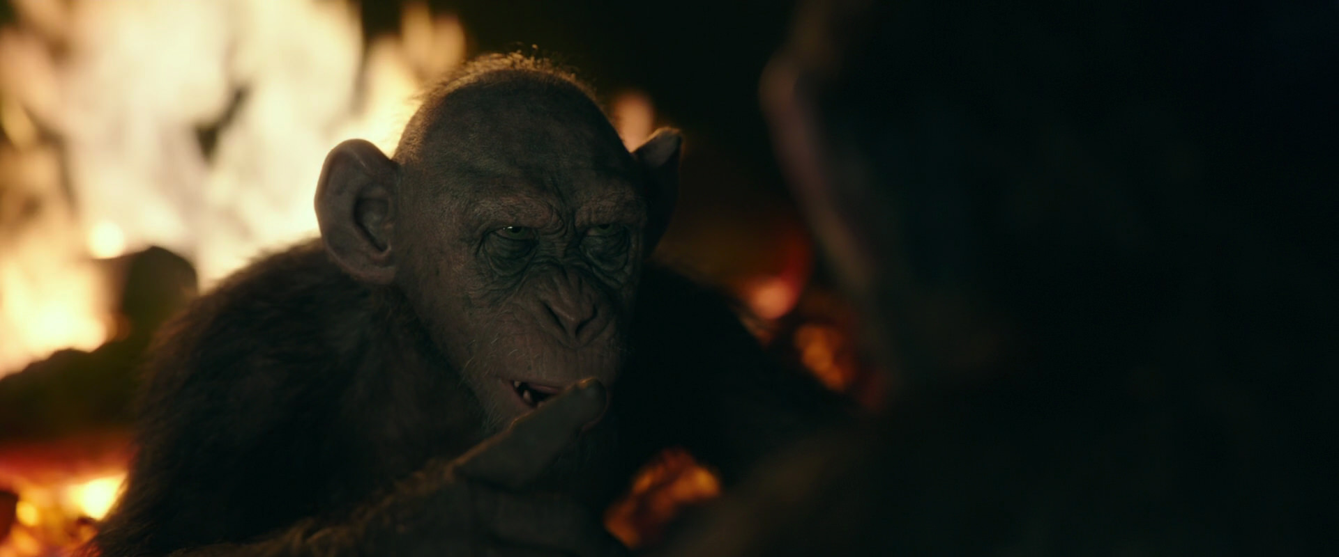 War for the Planet of the Apes (2017) screencap 5649