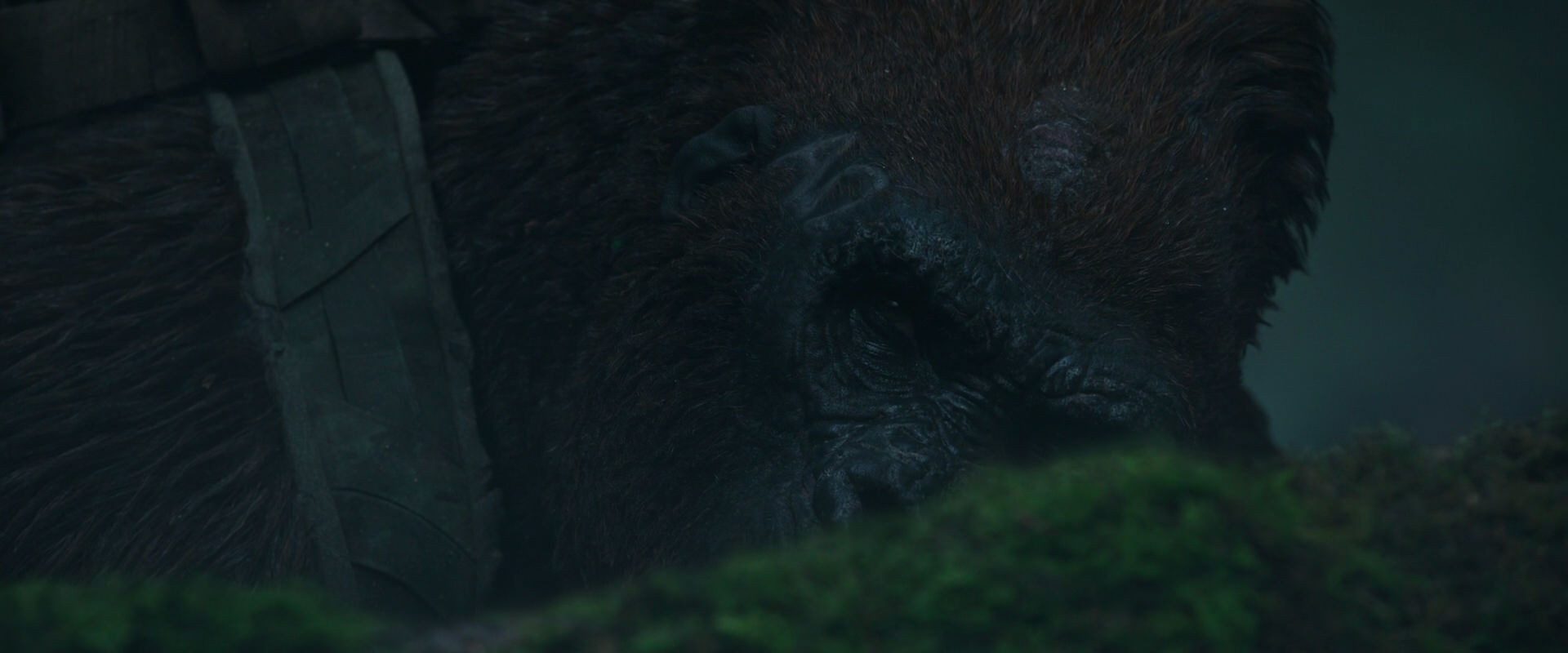 War for the Planet of the Apes (2017) movie still 565