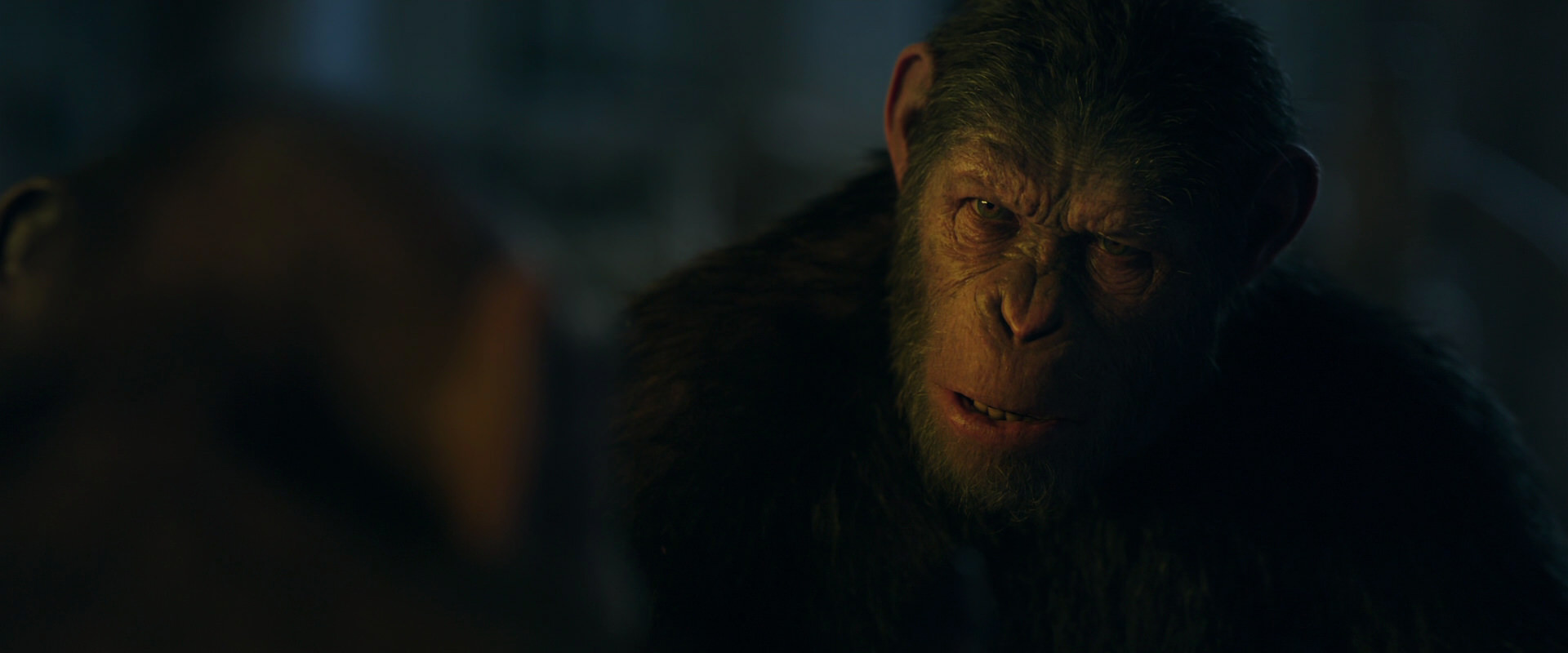 War for the Planet of the Apes (2017) screencap 5652
