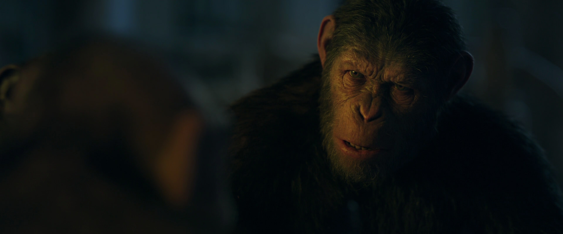 War for the Planet of the Apes (2017) movie still 5653