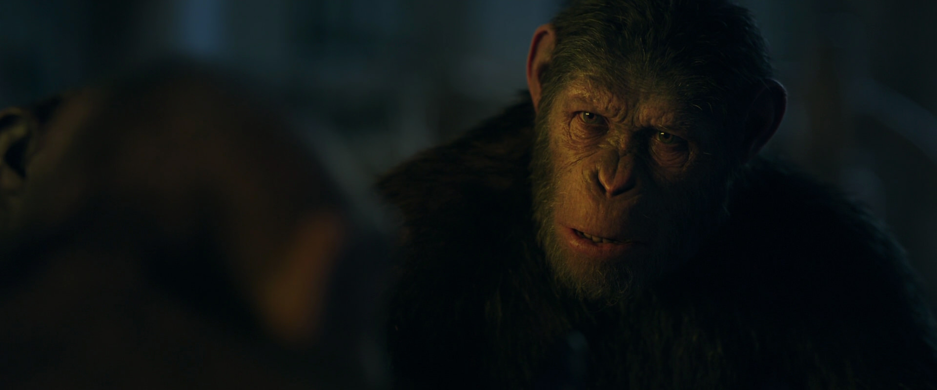 War for the Planet of the Apes (2017) HD screenshot 5654