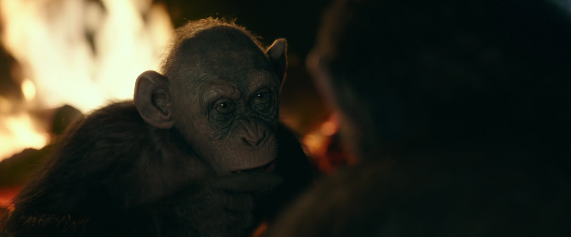 War for the Planet of the Apes (2017) screencap 5655