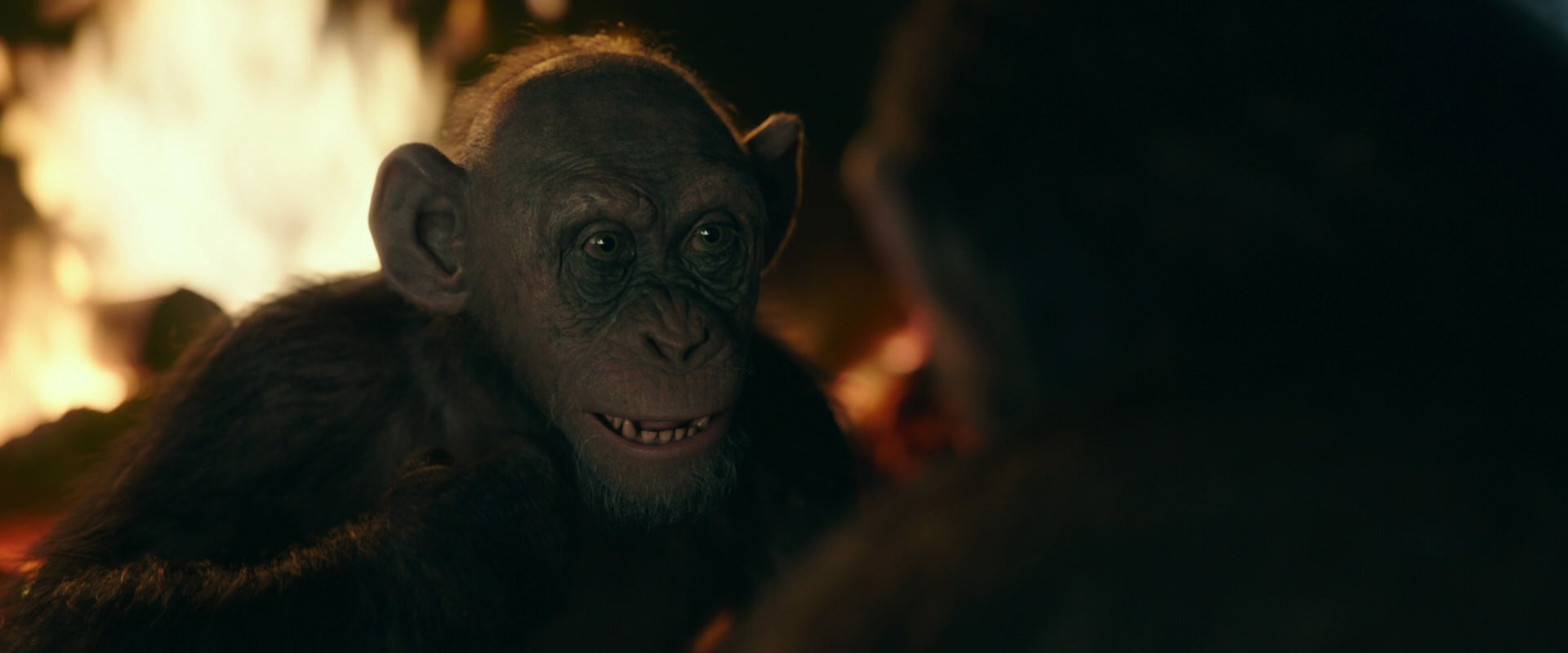 War for the Planet of the Apes (2017) movie still 5656