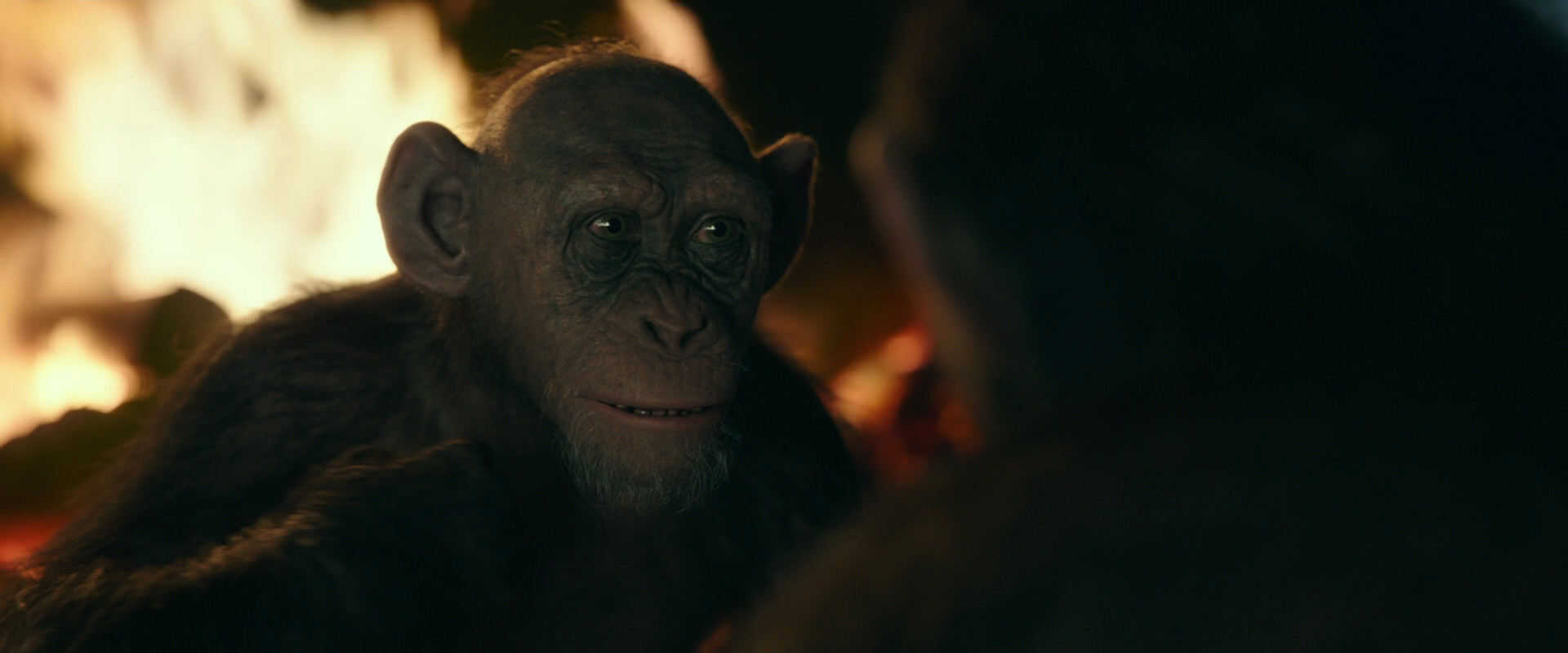 War for the Planet of the Apes (2017) screencap 5658
