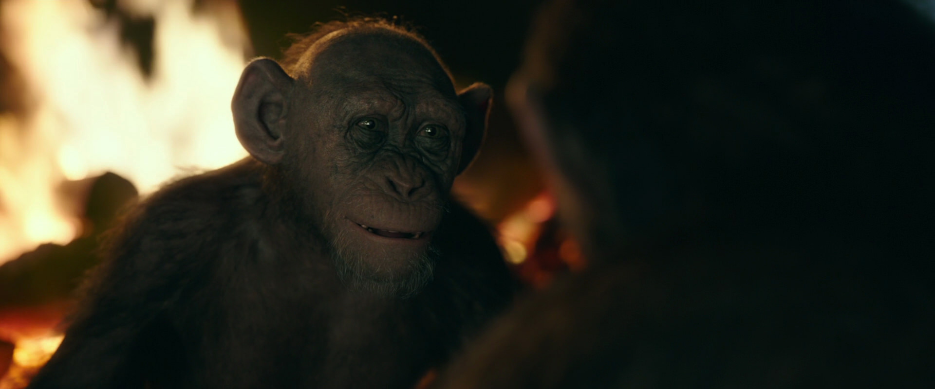 War for the Planet of the Apes (2017) movie still 5659