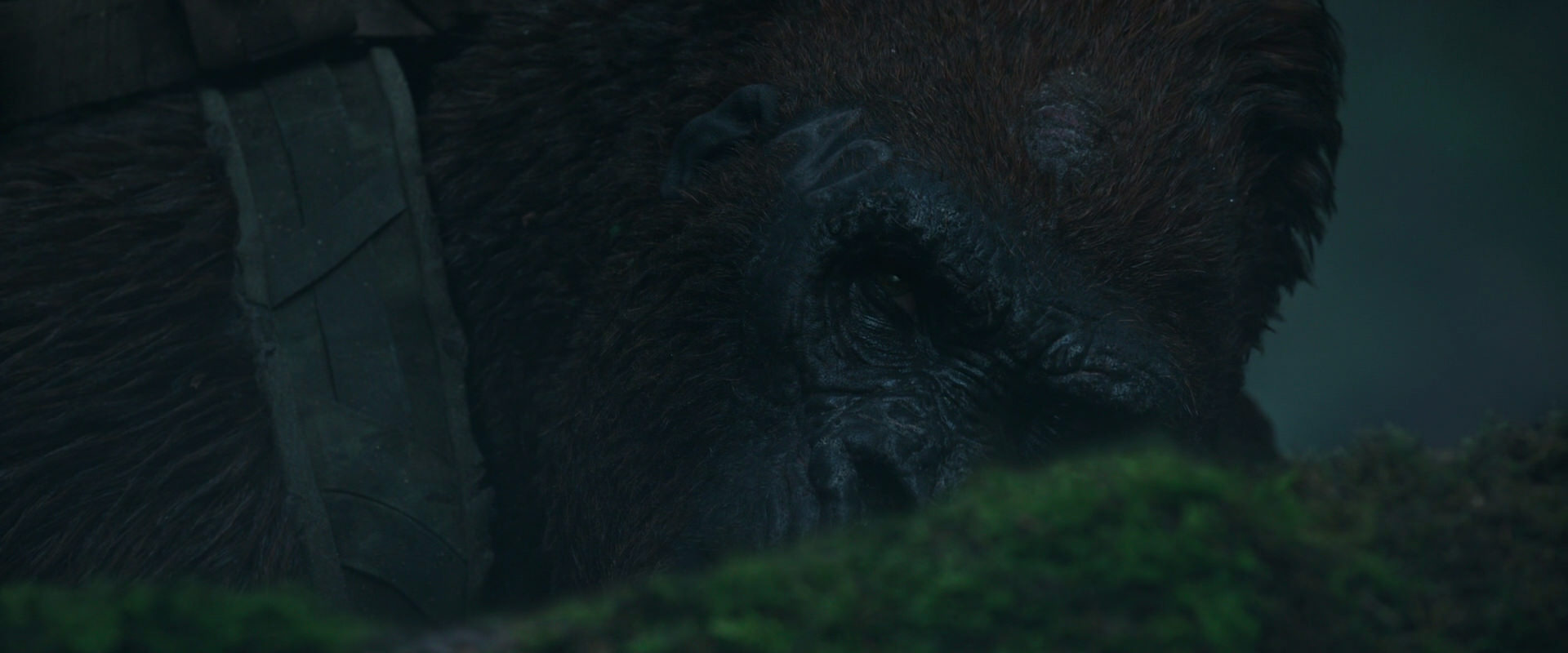 War for the Planet of the Apes (2017) HD screenshot 566