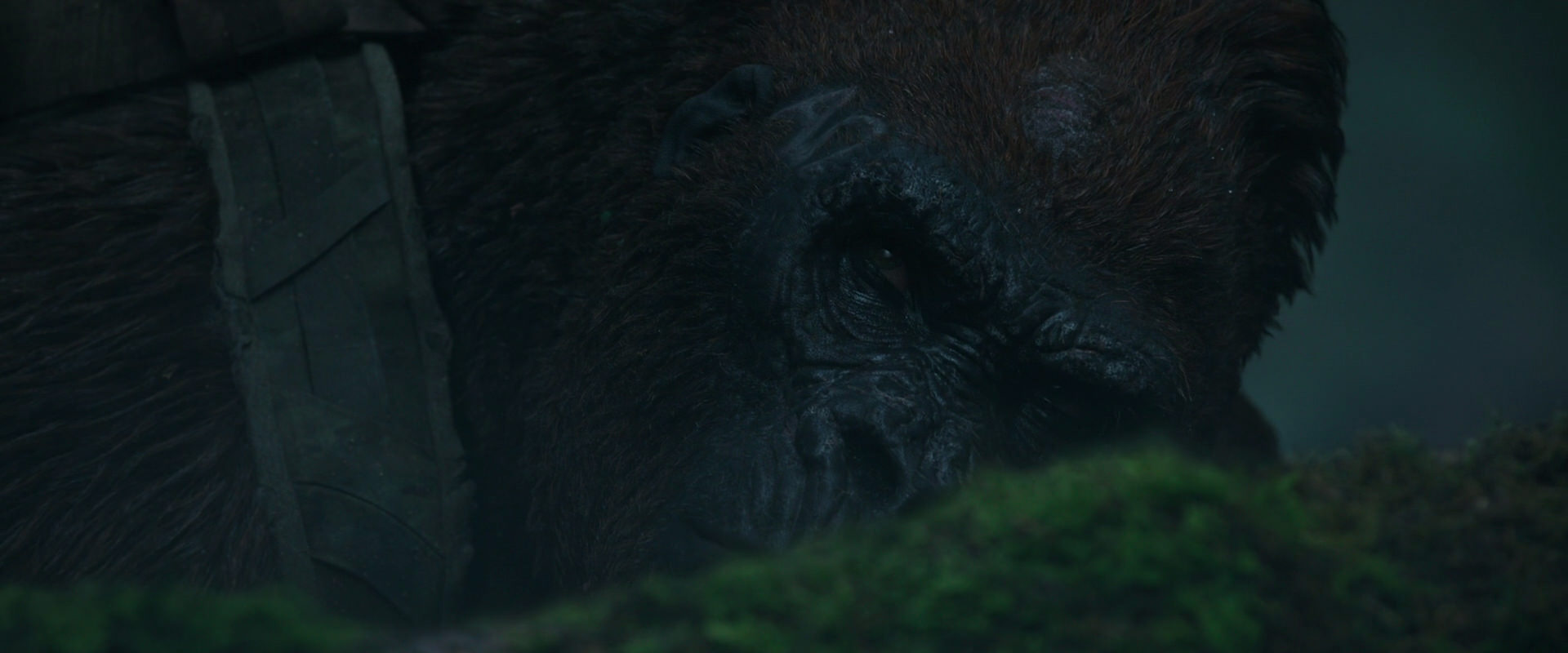 War for the Planet of the Apes (2017) screencap 567
